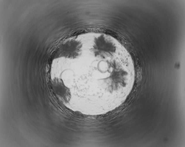 X0000114990867200912071114