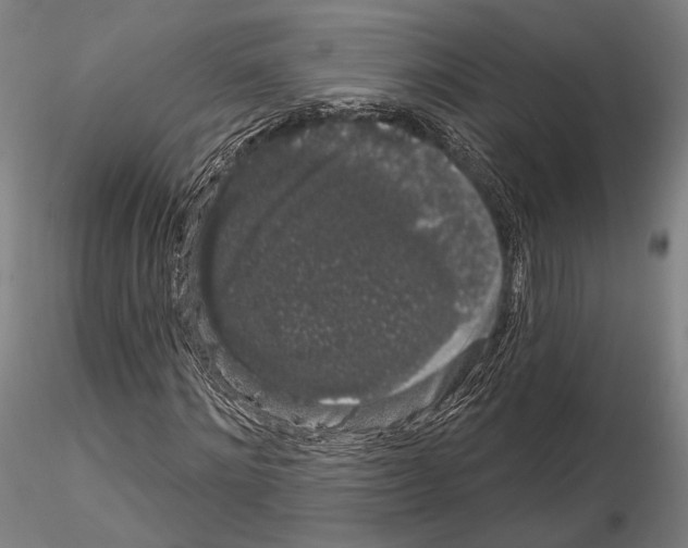 X0000114990868200912071114