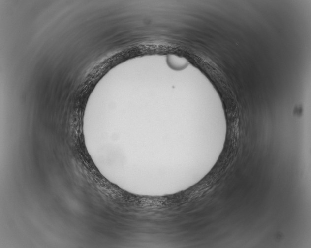 X0000114990870200912071114