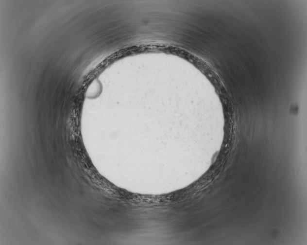 X0000114990871200912071114