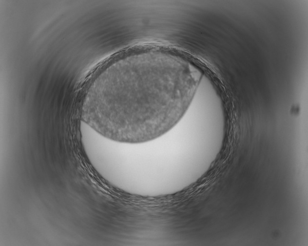 X0000114990872200912071114