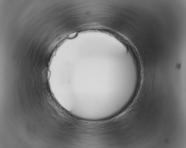 X0000114990873200912071114