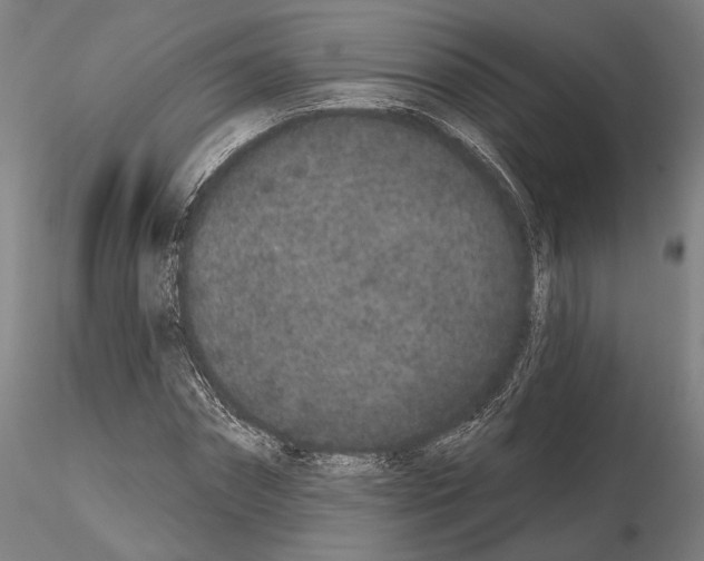 X0000114990874200912071114