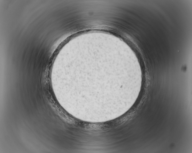 X0000114990875200912071114