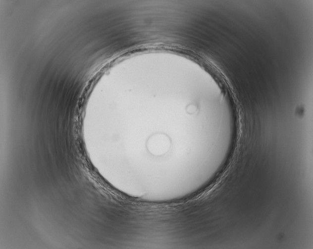 X0000114990876200912071114