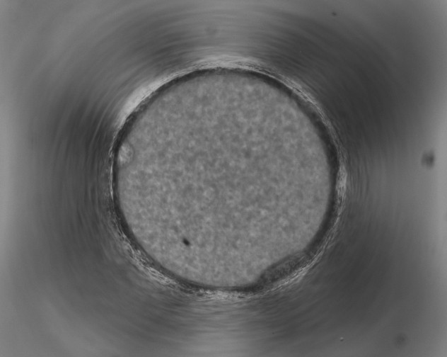 X0000114990877200912071114