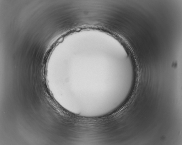 X0000114990878200912071114