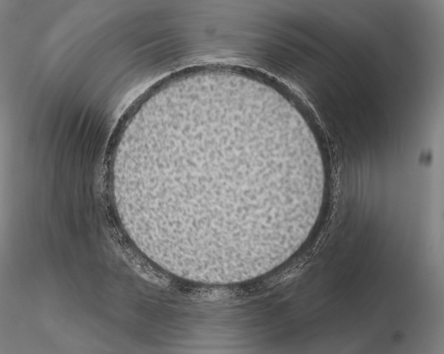 X0000114990879200912071114