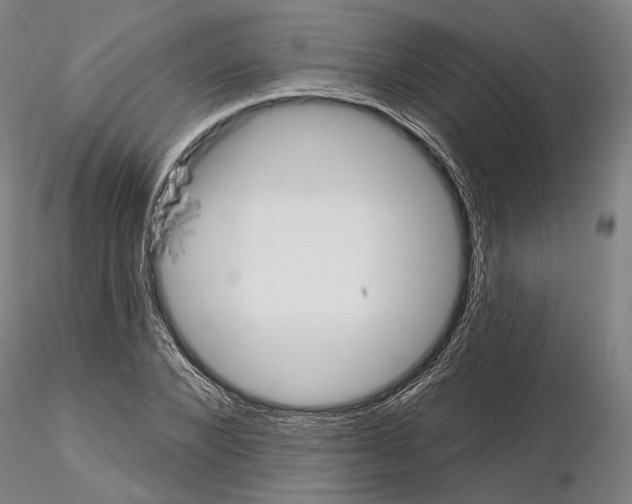 X0000114990880200912071114