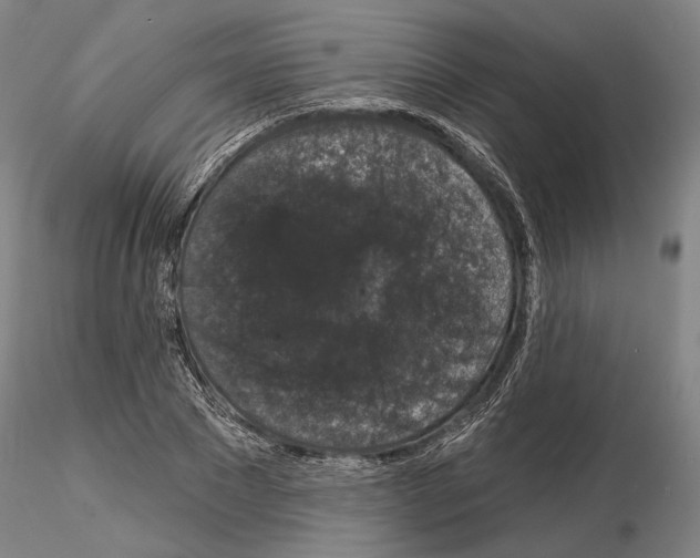 X0000114990881200912071114