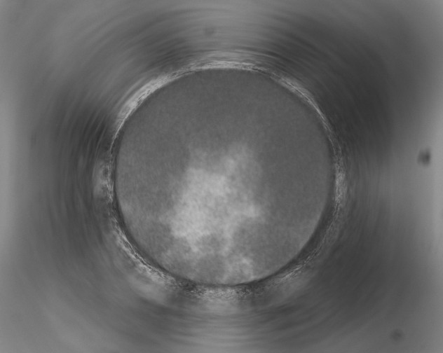 X0000114990882200912071114