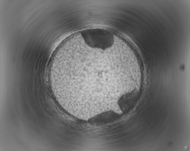 X0000114990883200912071114