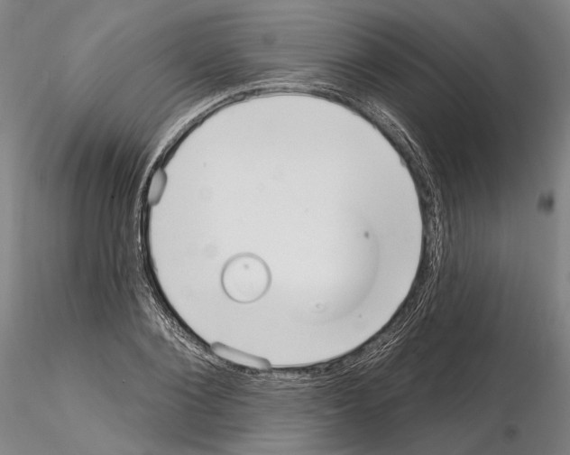 X0000114990884200912071114