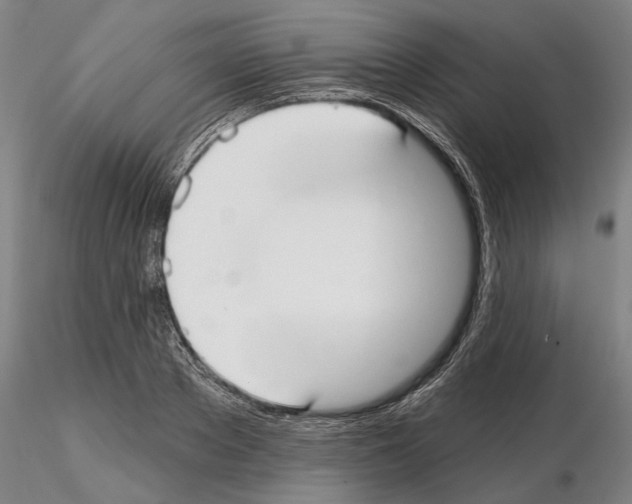 X0000114990889200912071114