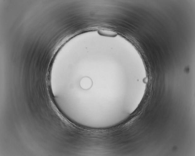 X0000114990893200912071114