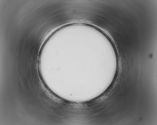 X0000114990895200912071114