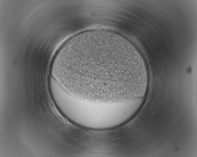 X0000114990896200912071114