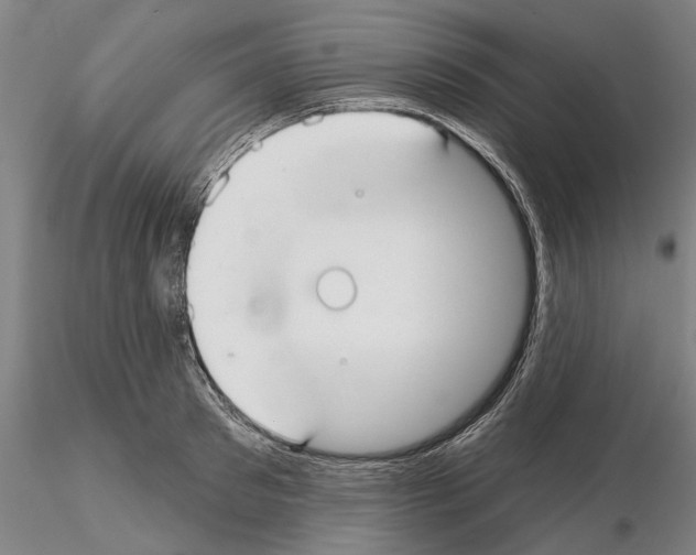 X0000114990897200912071114