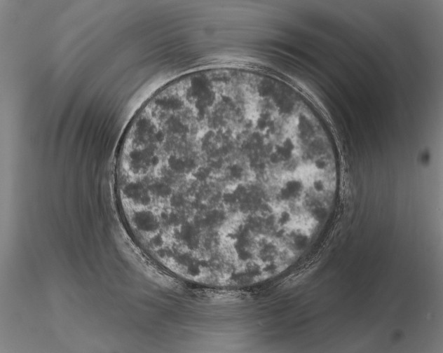 X0000114990899200912071114