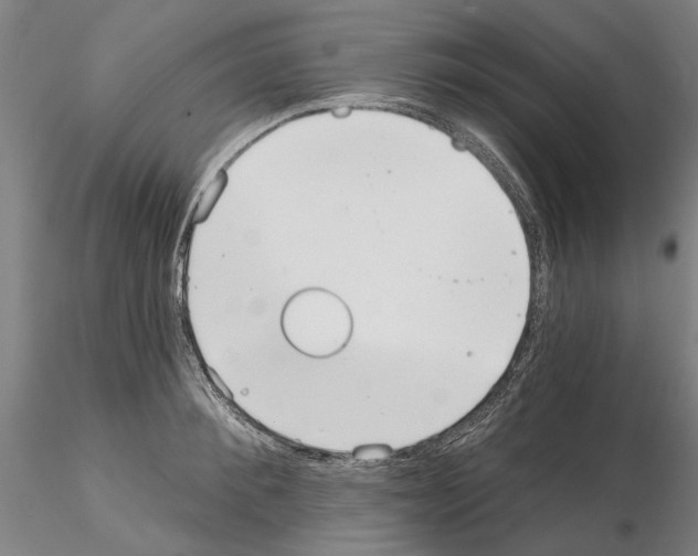 X0000114990900200912071114