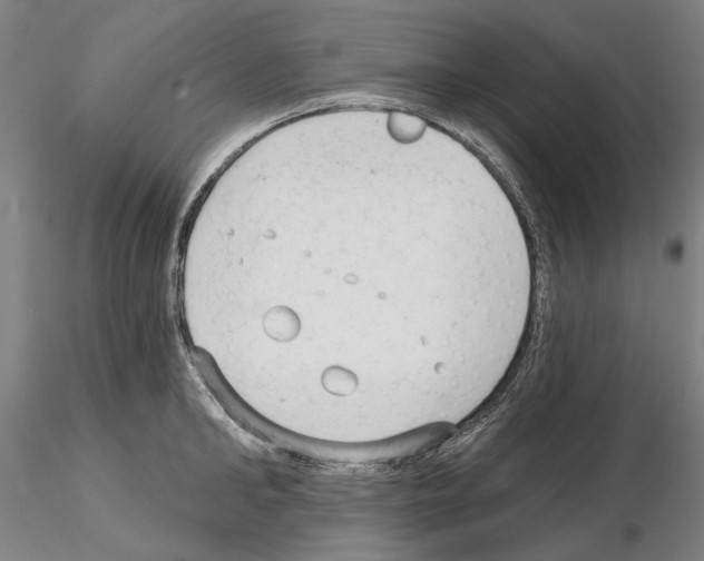 X0000114990902200912071114