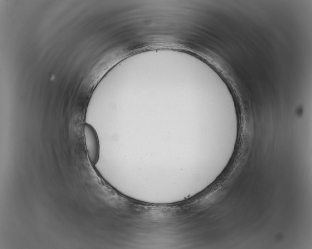 X0000114990905200912071114