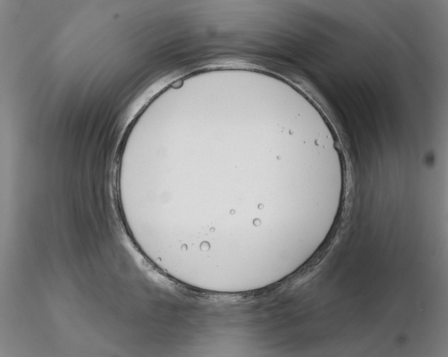 X0000114990909200912071114