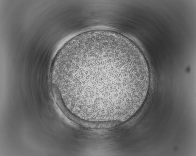 X0000114990910200912071114