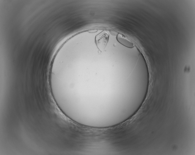 X0000114990912200912071114