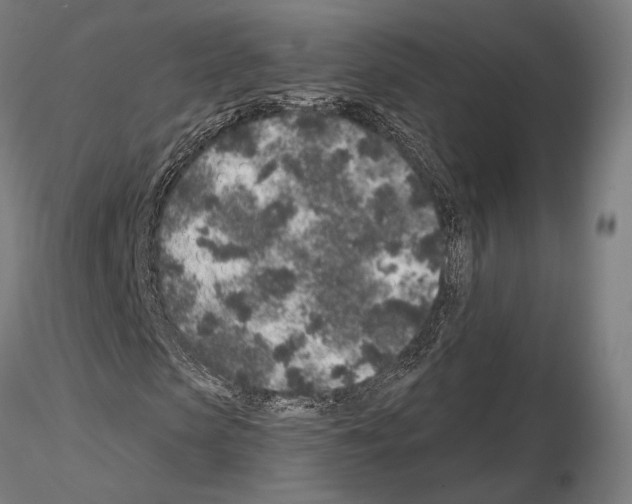 X0000114990913200912071113