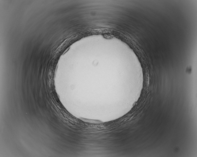 X0000114990915200912071113