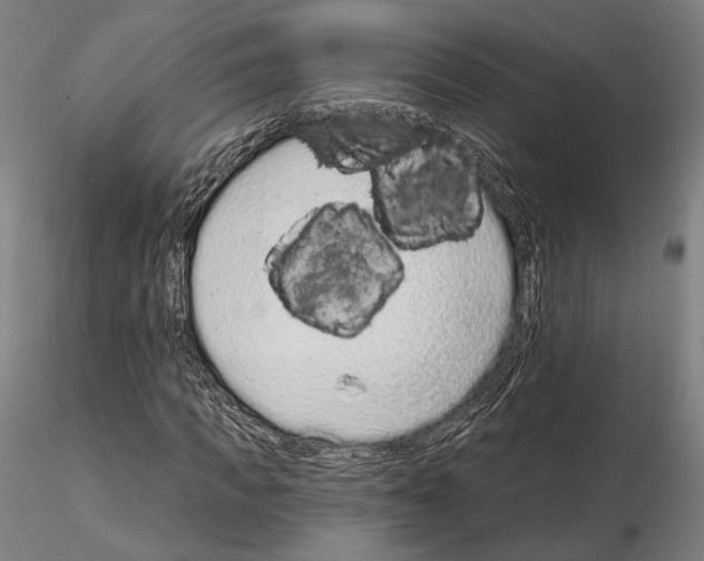 X0000114990917200912071113