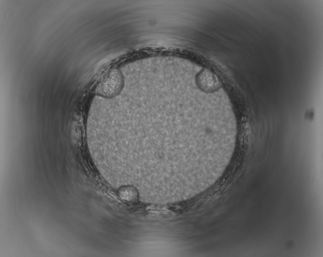 X0000114990918200912071113