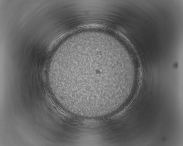 X0000114990921200912071113