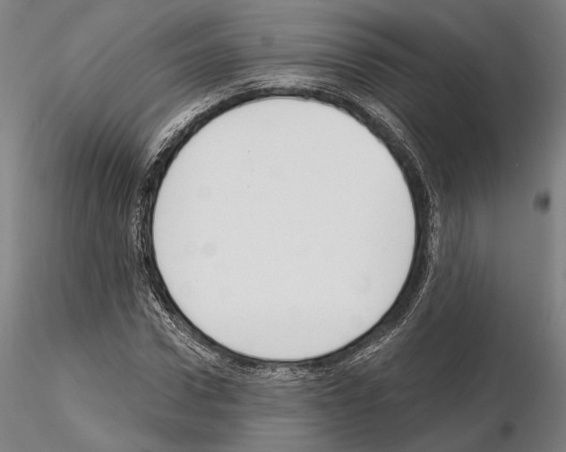 X0000114990922200912071113