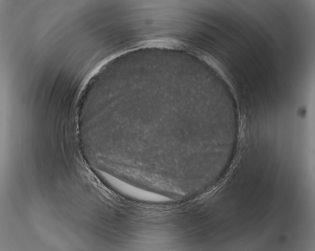 X0000114990923200912071113