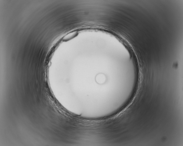 X0000114990925200912071113