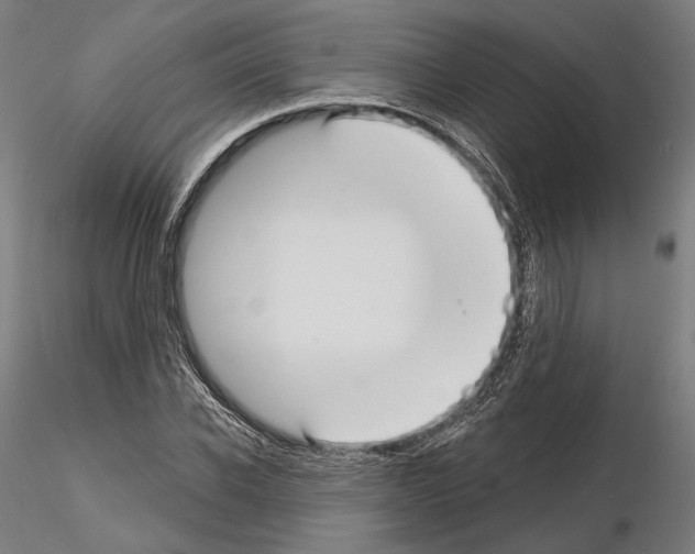 X0000114990926200912071113