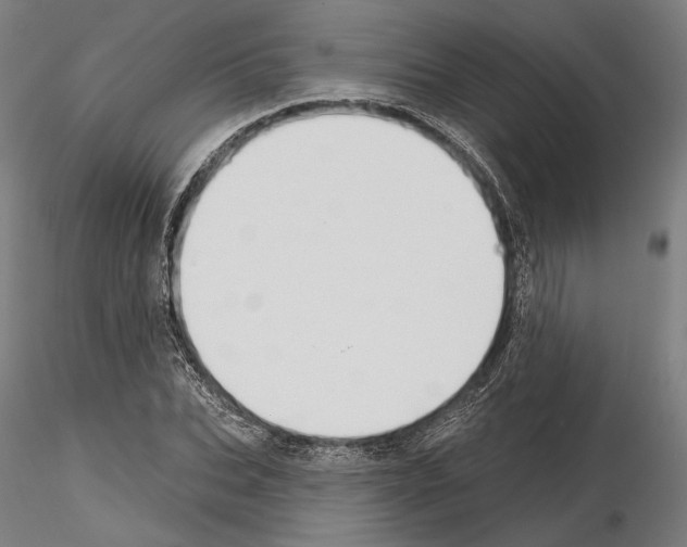 X0000114990927200912071113