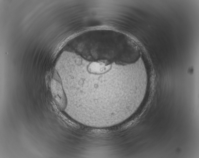 X0000114990929200912071113