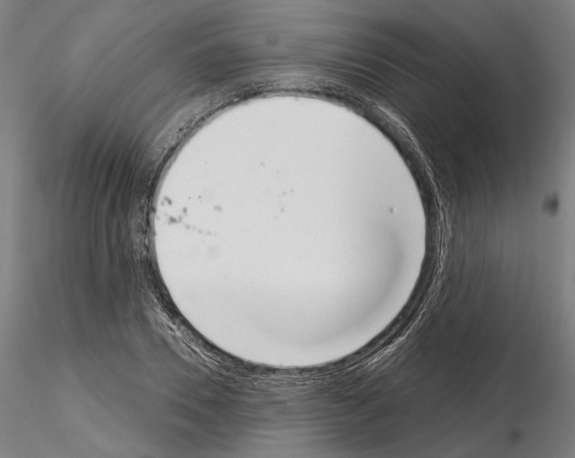 X0000114990930200912071113