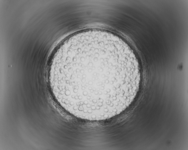 X0000114990931200912071113