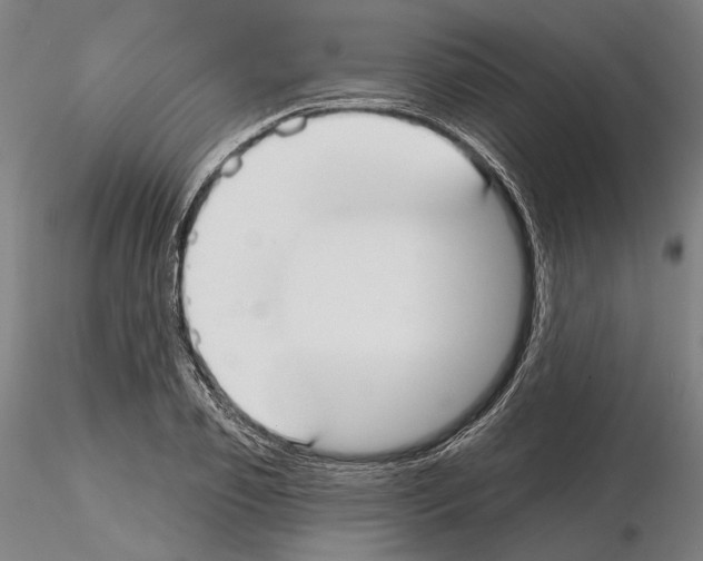 X0000114990933200912071113