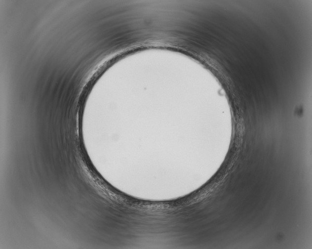 X0000114990934200912071113