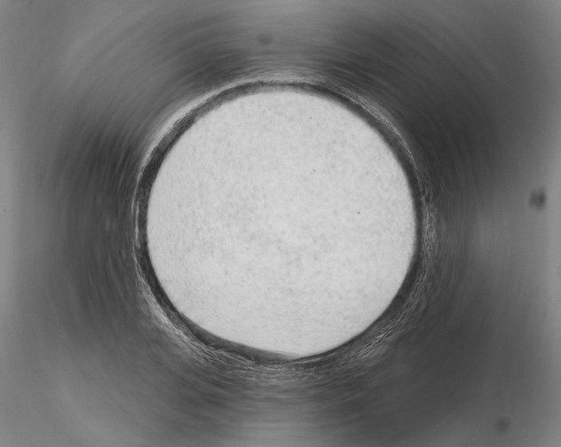 X0000114990935200912071114