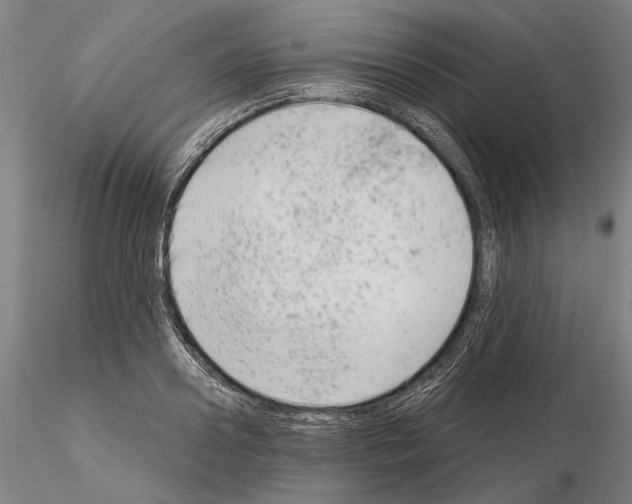 X0000114990938200912071114