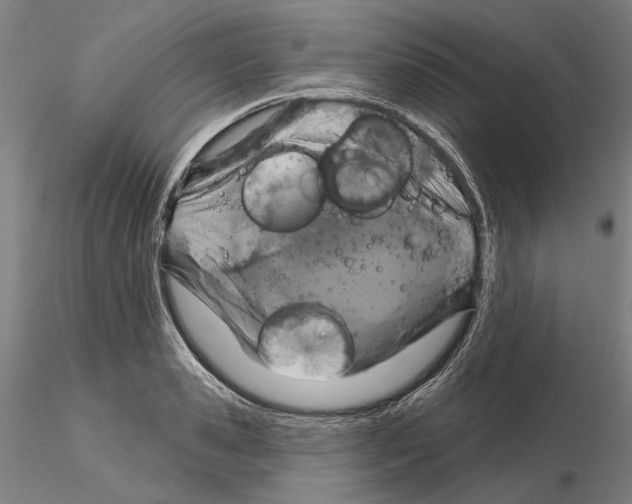 X0000114990941200912071114