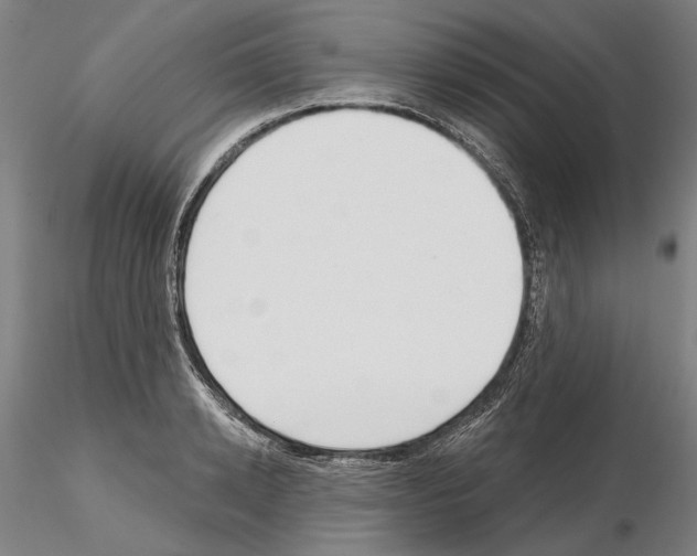 X0000114990942200912071114