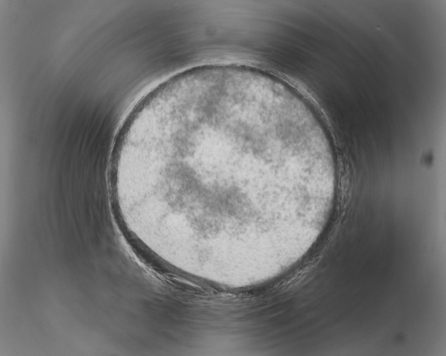 X0000114990943200912071114