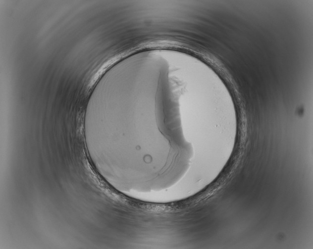 X0000114990945200912071114